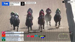 Gulfstream Park Replay Show  November 8 2024 [upl. by Eblehs486]