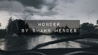 Wonder 🎵Shawn Mendes but youre driving in the rain [upl. by Guerra]