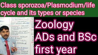 life cycle of plasmodium and its typesMiller harley zoologyCh8 [upl. by Higginson896]