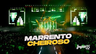 Grafith 35 Anos  Marrento Cheiroso [upl. by Mendez421]