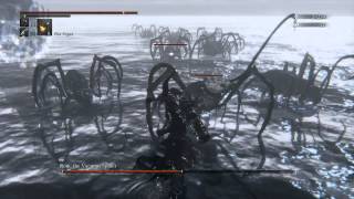 Bloodborne Boss Fight  Rom the Vacuous Spider l Moonside Lake [upl. by Adirahs]