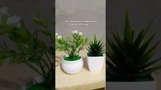 artificial mini plants [upl. by Ellimac]