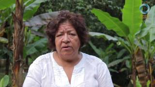 Testimonio Rosario participante en viaje a la selva con Ayahuasca Internacional [upl. by Kurzawa]