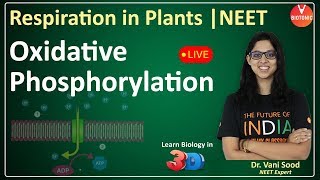 Oxidative Phosphorylation  Respiration In Plants Class 11  NEET 2020 AIIMS  Vani Maam VBiotonic [upl. by Carie]