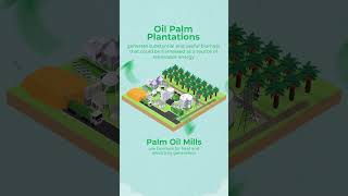 Malaysian Palm Oil Biomass [upl. by Corenda]