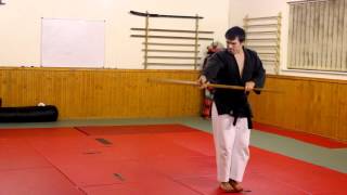 Kata SAKUGAWA NO KON  Matayoshi Kobudo [upl. by Anavahs]