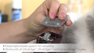 WAHL How To Replace a 2 Hole Clipper Blade [upl. by Drol117]