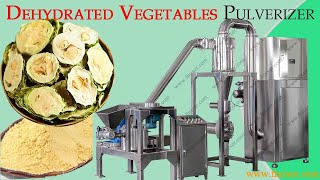 Vegetable Powder Making Machine for milling dehydrated vegetable into flour┃Impact Pulverizer┃ [upl. by Schultz]