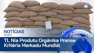 Produtu Orgánika TimorLeste Iha Poténsia Boot ba Exportasaun Iha Merkadu Mundiál [upl. by Aydne]