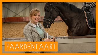 Paardentaart  PaardenpraatTV [upl. by Popper]