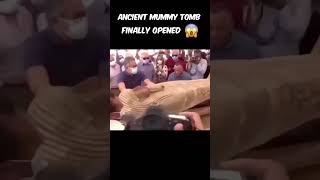 Unsealing a 2500YearOld Mummy Tomb Live AncientEgypt MummyMystery archaeology [upl. by Reynold]