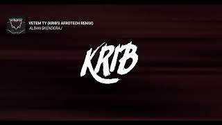 Alban Skenderaj  Vetem Ty Kribs AfroTech Remix [upl. by Kistner176]