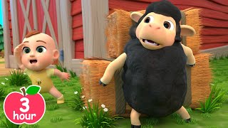 Baa Baa Black Sheep Song  Newborn Baby Songs amp Nursery Rhymes [upl. by Nnaassilem]