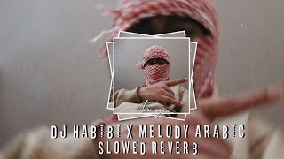 DJ FUNKOT HABIBI X MELODY ARABIC MENGKUANE Slowed reverb [upl. by Einolem20]