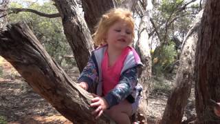 Barmera bush kindy [upl. by Aiyekal]