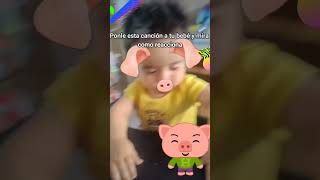 Cerdito Enojon Plim Plim cerditos plimplim songsforkids song baby short babyshorts cutebaby [upl. by Dhaf535]