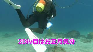 202416土潜り初め、富戸ヨコバマDiv。透視15m以上で海況は良好！ちょっとお正月気分で2Div。水が綺麗だとダイビングは楽しい。でも海に浮かぶゴミもよく見える…。皆さん、海を綺麗に！ [upl. by Proudman]