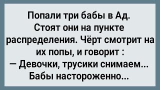 Как Три Бабы в Ад Попали Сборник Свежих Анекдотов Юмор [upl. by Einoj1]