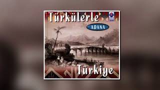 Türküler  Adana  Gide Gide Bir Söğüde Dayandım [upl. by Schuster]