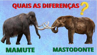 QUAIS AS DIFERENÇAS ENTRE OS MAMUTES E OS MASTODONTES ONDE ELES VIVIAM QUE ANIMAIS ERAM ESSES [upl. by Naraa]