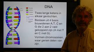 Biologie HV OB Genotype en fenotype [upl. by Noeled]