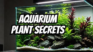 Top 21 Low Light Plants For Aquariums 🌿 [upl. by Noelani473]