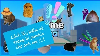 Cách lấy kiếm pumkin và pumkin head cho ae nào chữa rõ 🤩🤩 Tên Game  Meme sea [upl. by Pincince673]