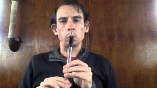 Oro Se Do Bheatha Bhaile  Tin Whistle [upl. by Raven]