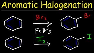 Aromatic Halogenation Mechanism  Chlorination Iodination amp Bromination of Benzene [upl. by Ogeid]