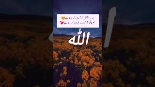 Wo Har Mushkil ko Asan kar deta hay tum mango to sahi bast recitation trendingshorts shortfeed [upl. by Atikihs]