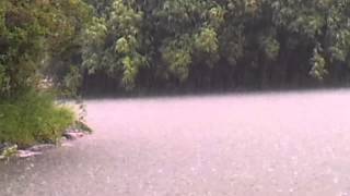 Heavy Rainstorm Sounds for 60mins Rain and Thunder Sound [upl. by Telford]