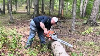 PORTED HUSQVARNA 562xp mkllFINAL RUNMAYBE NOTMitchellsBackyardLogging [upl. by Dottie]