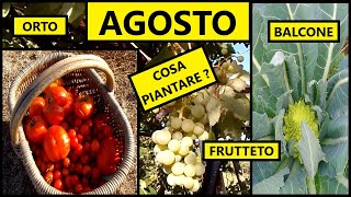 Cosa piantare nel mese di AGOSTO nellOrto e nel Frutteto  Tutorial Agricoltura [upl. by Teece]