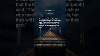 Sahih Muslim Hadith 3703 The Book of Emancipating Slaves [upl. by Hospers]