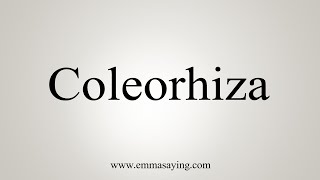 How To Say Coleorhiza [upl. by Aivilo]