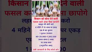 किसान भाइयों लहसुन की खेती करो पैसा ही पैसा होगा बिजनेस 🧄 Today Best idea 4 business shorts [upl. by Roselba]