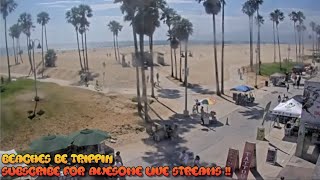 Venice Beach Webcam  Venice Beach Live Cam  venice beach live boardwalk cam [upl. by Meredithe]