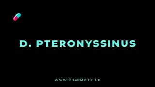 How to pronounce Dpteronyssinus [upl. by Ytsirc]