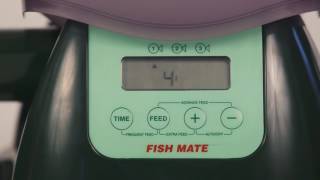 How To Set Up Fish Mate P7000 Automatic Feeder [upl. by Rai]