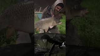 Vissen op belgiesche ijzer carpfishing catchandrelease songwriter [upl. by Alaine532]