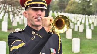 Honor The Fallen TAPS [upl. by Errol]