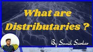 Distributaries What are distributaries   Distributary  What is distributary  Sunil Sardar [upl. by Corenda]