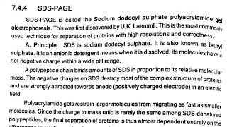 SDSPAGE  Electrophoresis [upl. by Nalac547]