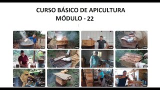 CURSO BÁSICO DE APICULTURA VÍDEO 022 [upl. by Lleuqram]