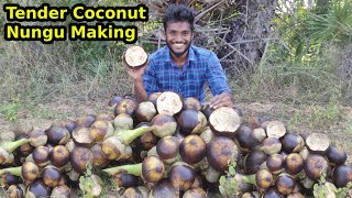 Tender Coconut Nungu Making Video  2024 [upl. by Oirrad]