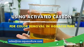 Using Activated Carbon to remove Tannins in Aquaculture Wastewater [upl. by Ramsden]