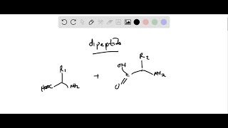 Write the reaction for the transamination of an amino acid in terms of Cleland notation Section 14… [upl. by Bevers]