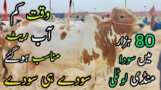 Nothern Bypass Mandi Latest Rates And Bargaining  22 June 2023  Bakra Eid Season 2023 [upl. by Mihsah633]