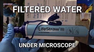 Testing The Lifestraw Under Microscope [upl. by Korwin]