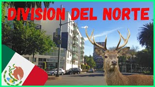 ⭐🚘 Manejando por la CDMX  Av División del Norte  Narvarte  Parque de los Venados  Calz Tlalpan [upl. by Fishback]